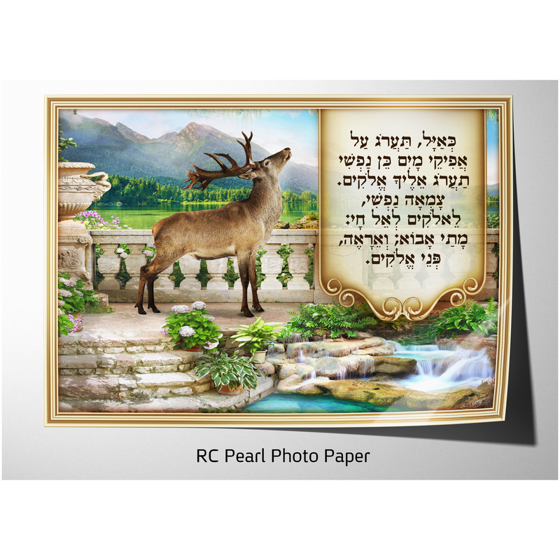 Ka'ayal Ta'arog (As The Deer Longs) Sukkah Poster - Ben-Ari Art Gallery